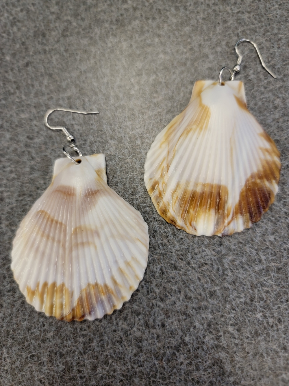 Shell Drop Earrings in Natural Cream and Brown - Women Jewelry